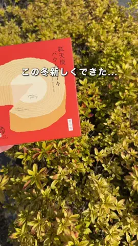 千葉県お出かけスポット🚗💨すずのTikTok投稿