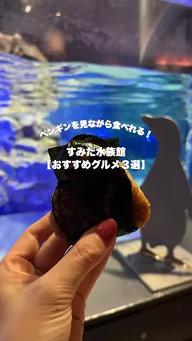 YOU旅行｜世界一周する家族✈️のTikTok投稿
