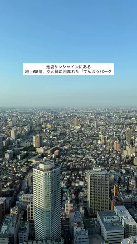 みぃのTikTok投稿