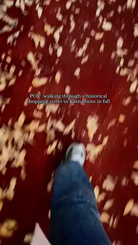 moreofJAPANのTikTok投稿