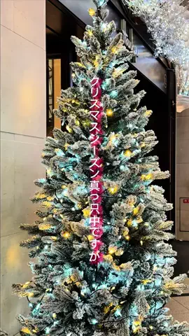kazuhikofujitaのTikTok投稿