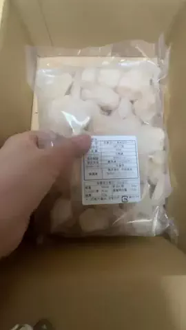 ハマチさん太郎のTikTok投稿