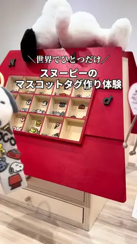 mocoのおでかけ日記のTikTok投稿