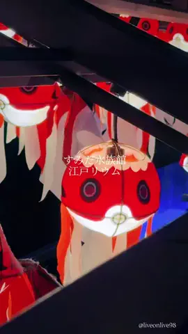 ＊hitohira＊のTikTok投稿