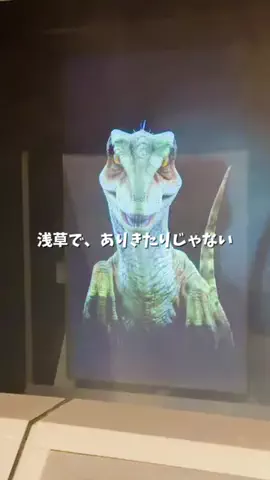 kaori.fjt | 東北の今を彩る風景発信のTikTok投稿