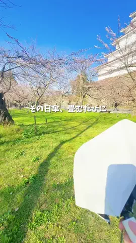 kaori.fjt | 東北の今を彩る風景発信のTikTok投稿