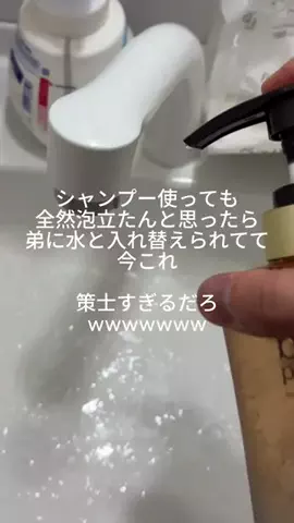 しあわせバターのTikTok投稿
