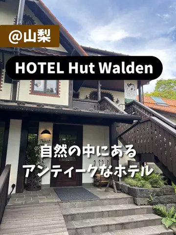 LittleBamboo.stのTikTok投稿