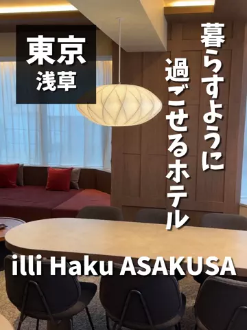 LittleBamboo.stのTikTok投稿