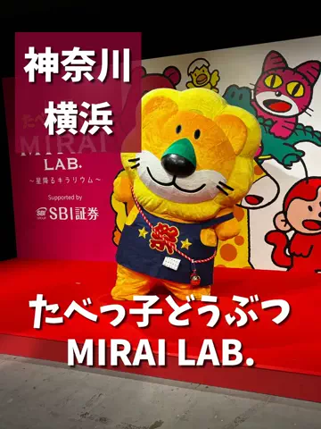 LittleBamboo.stのTikTok投稿