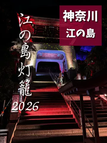 LittleBamboo.stのTikTok投稿