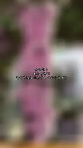 質屋かんてい局　須賀川店のTikTok投稿