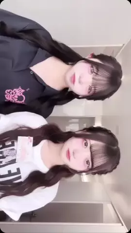 にゃんのTikTok投稿