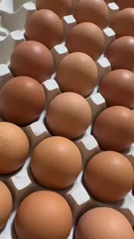 みや🌱🐣のTikTok投稿