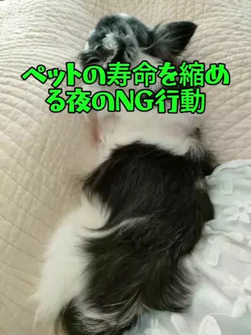 くらし整えラボ｜なおこのTikTok投稿