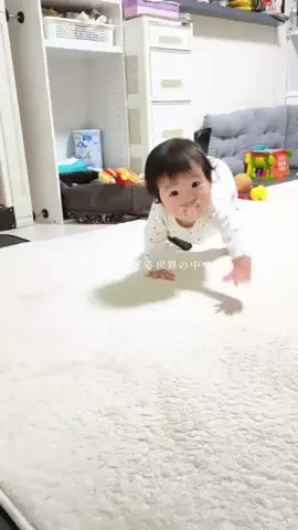 日常の名言のTikTok投稿