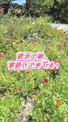 みな@就活応援隊のTikTok投稿