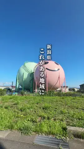 がたうぉーかー【新潟グルメ/スポット】のTikTok投稿