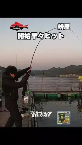 伊勢志摩つりとも研究所のTikTok投稿