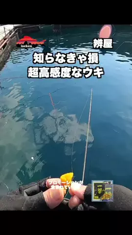 伊勢志摩つりとも研究所のTikTok投稿