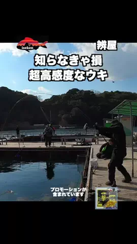 伊勢志摩つりとも研究所のTikTok投稿