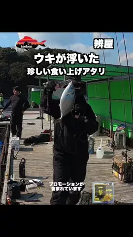 伊勢志摩つりとも研究所のTikTok投稿