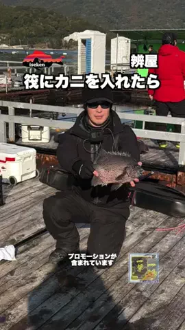 伊勢志摩つりとも研究所のTikTok投稿
