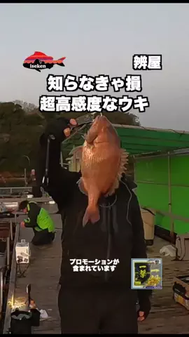 伊勢志摩つりとも研究所のTikTok投稿