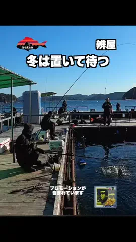 伊勢志摩つりとも研究所のTikTok投稿