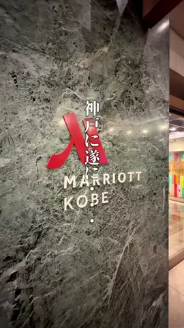 神戸グルメまひろのTikTok投稿