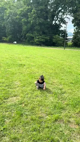 どいちゃん家のTikTok投稿