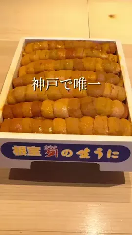 めぐっぺのTikTok投稿