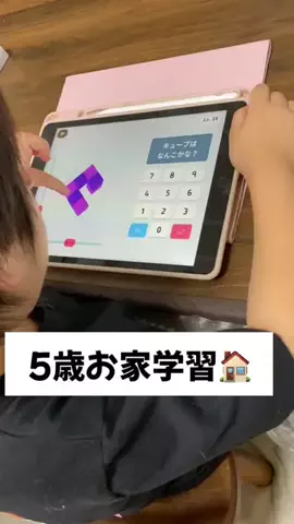 Timothy-ShogiのTikTok投稿