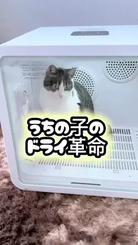 らƕ's FindsのTikTok投稿