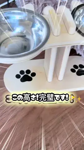 らƕ's FindsのTikTok投稿