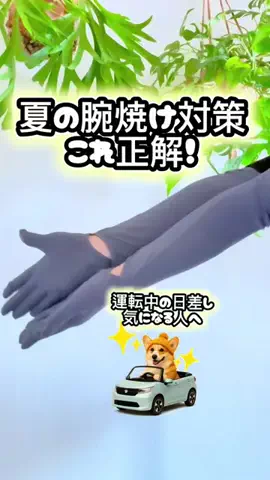 らƕ's FindsのTikTok投稿