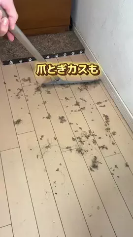 ゆゆ｜30秒で分かるズボラ掃除術のTikTok投稿
