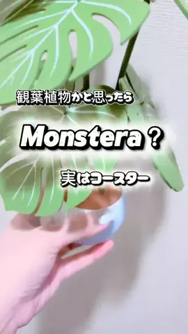 らƕ's FindsのTikTok投稿