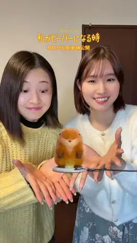 🧸🥁A&N🐿🏠のTikTok投稿