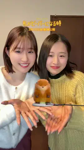 🧸🥁A&N🐿🏠のTikTok投稿