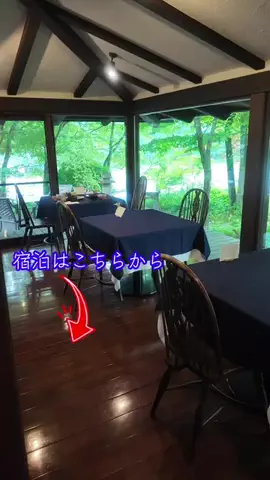 LittleBamboo.lsのTikTok投稿