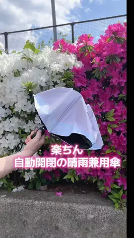 MinacoのTikTok投稿