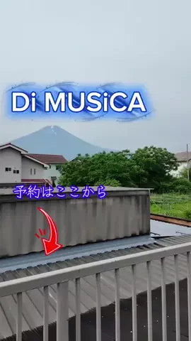 LittleBamboo.lsのTikTok投稿
