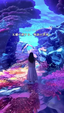 viajar_ao_mundoのTikTok投稿