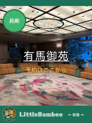 LittleBamboo.lsのTikTok投稿