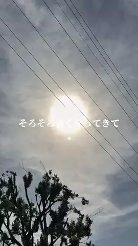 ゆーがのTikTok投稿
