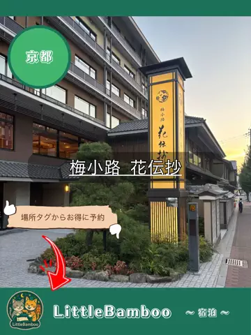 LittleBamboo.lsのTikTok投稿