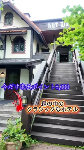 LittleBamboo.lsのTikTok投稿