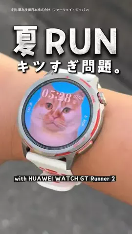 ギズモと琥珀のTikTok投稿