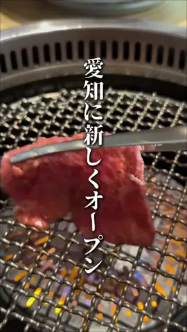 のん | 愛知グルメ・おでかけのTikTok投稿